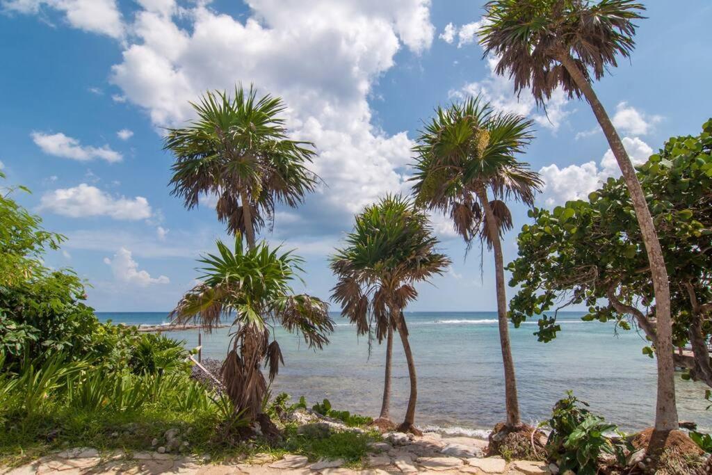 Ground Level Garden Condo At Akumal South By Tao Santamar Bagian luar foto